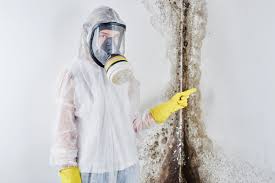 Professional Mold Removal Services in Lindenwold, NJ